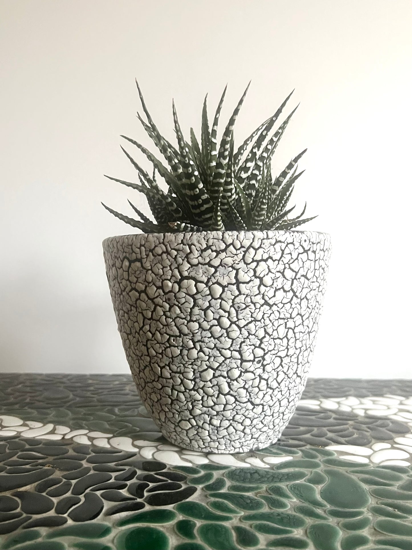 Vintage Mid Century West German Plant Pot