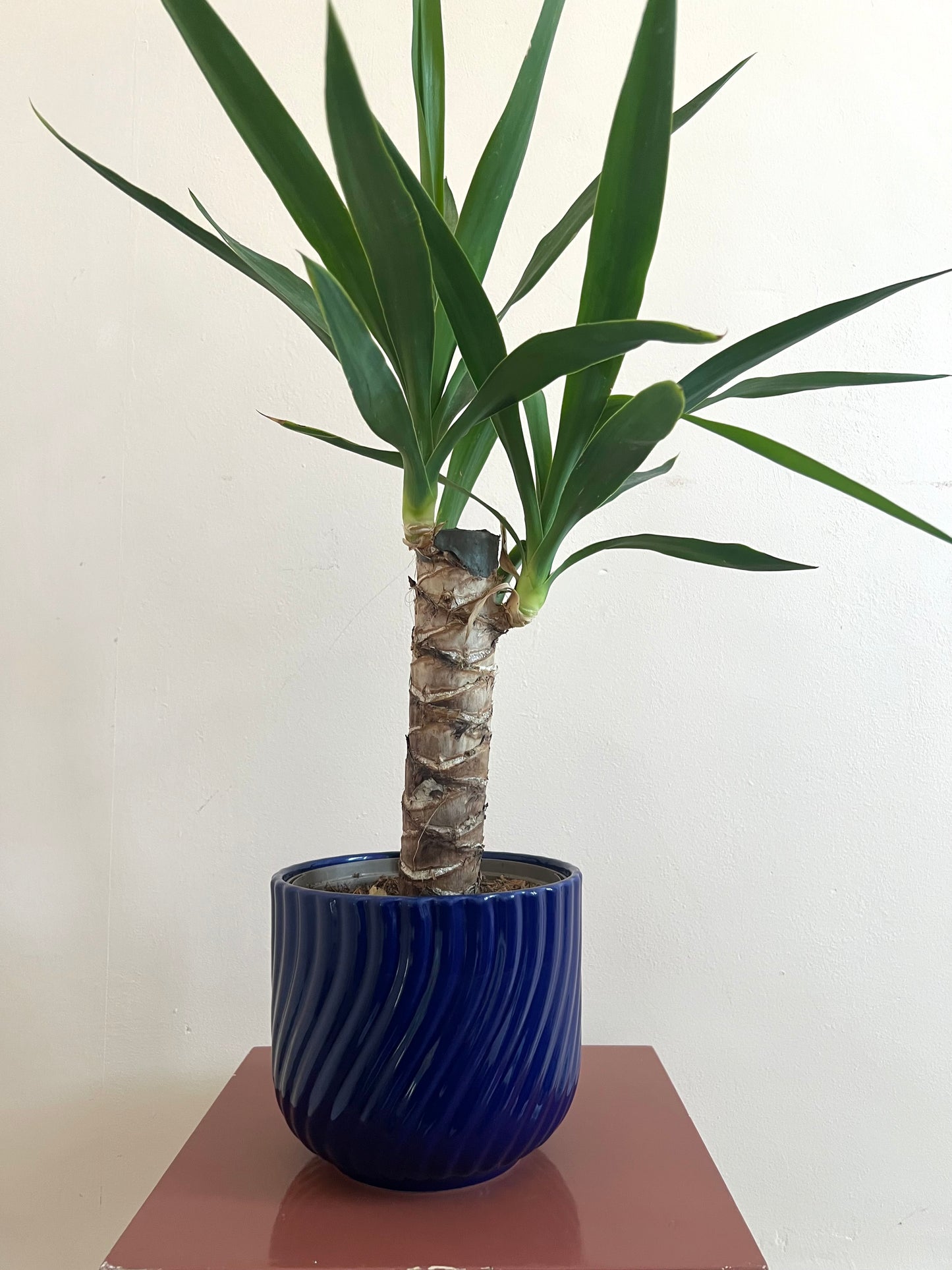 Mid Century Blue West German Style Plant Pot