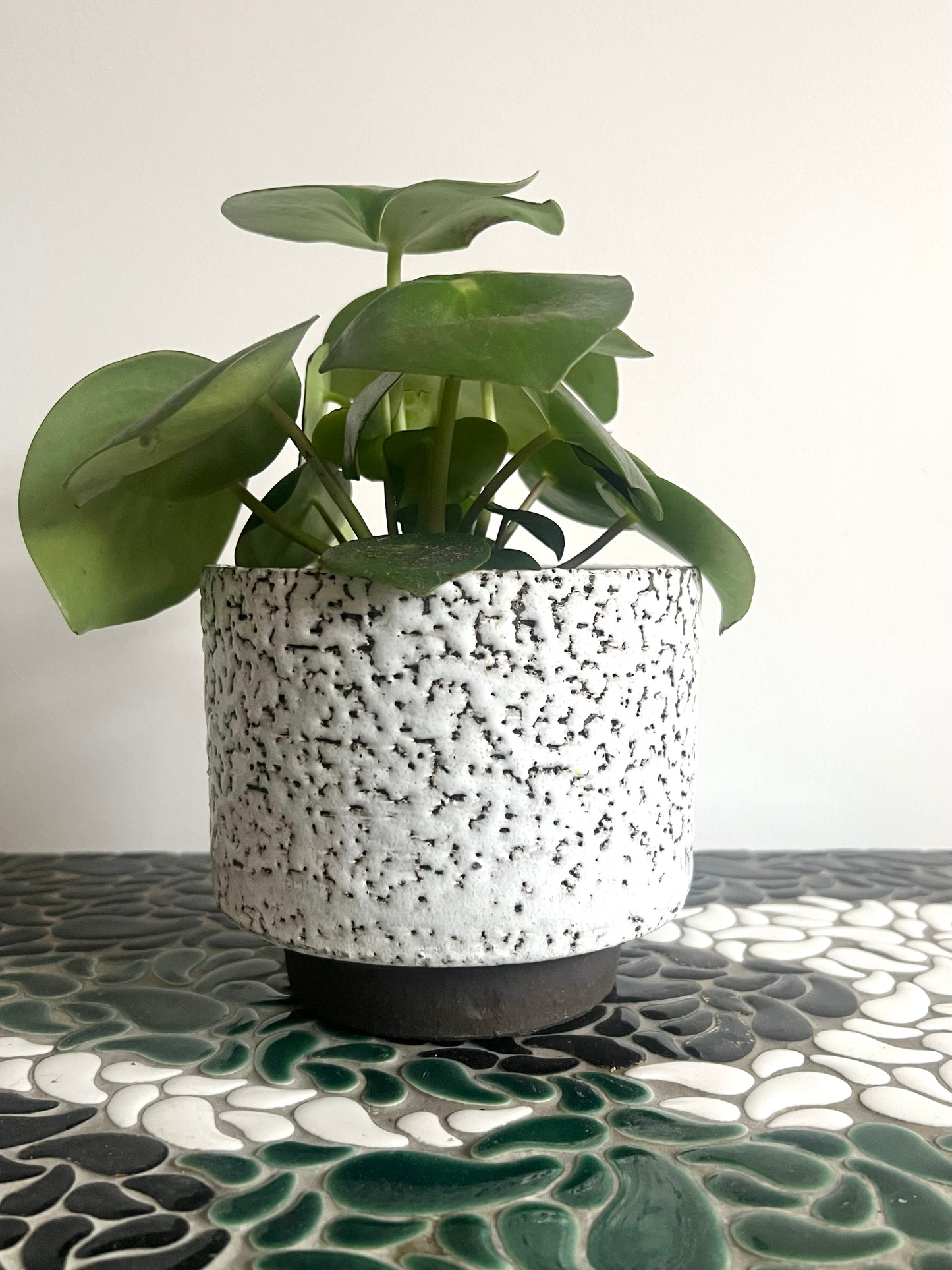 Vintage Mid Century West German Plant Pot
