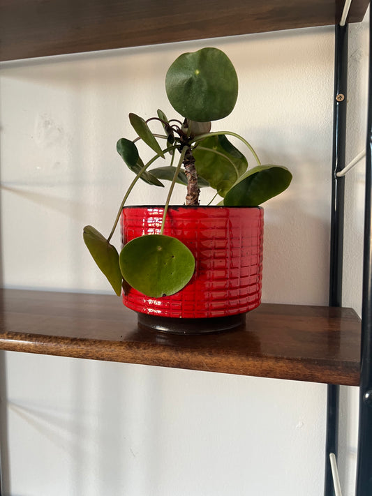 Vintage Mid Century Red Fat Lava Style Plant Pot