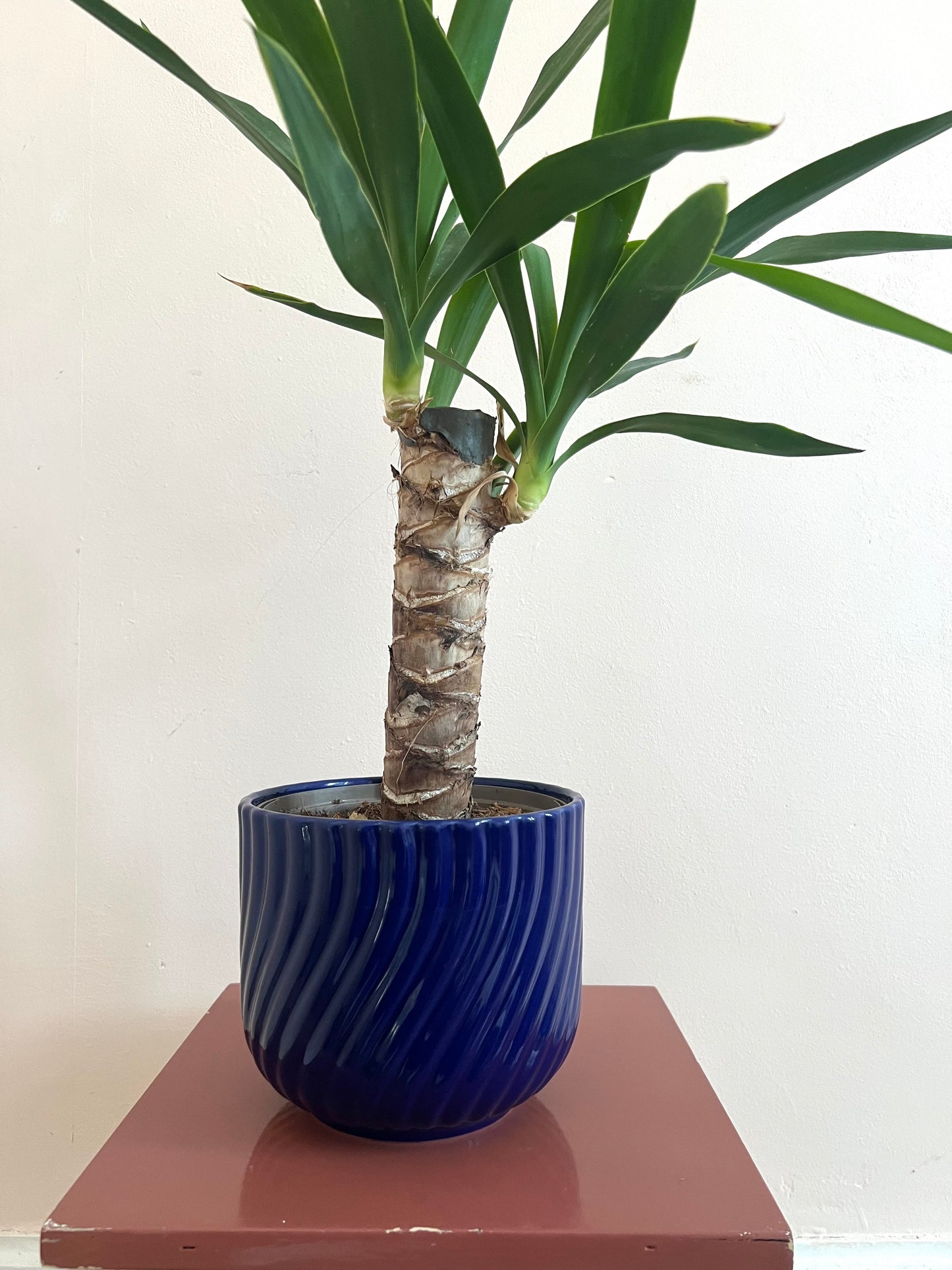 Mid Century Blue West German Style Plant Pot