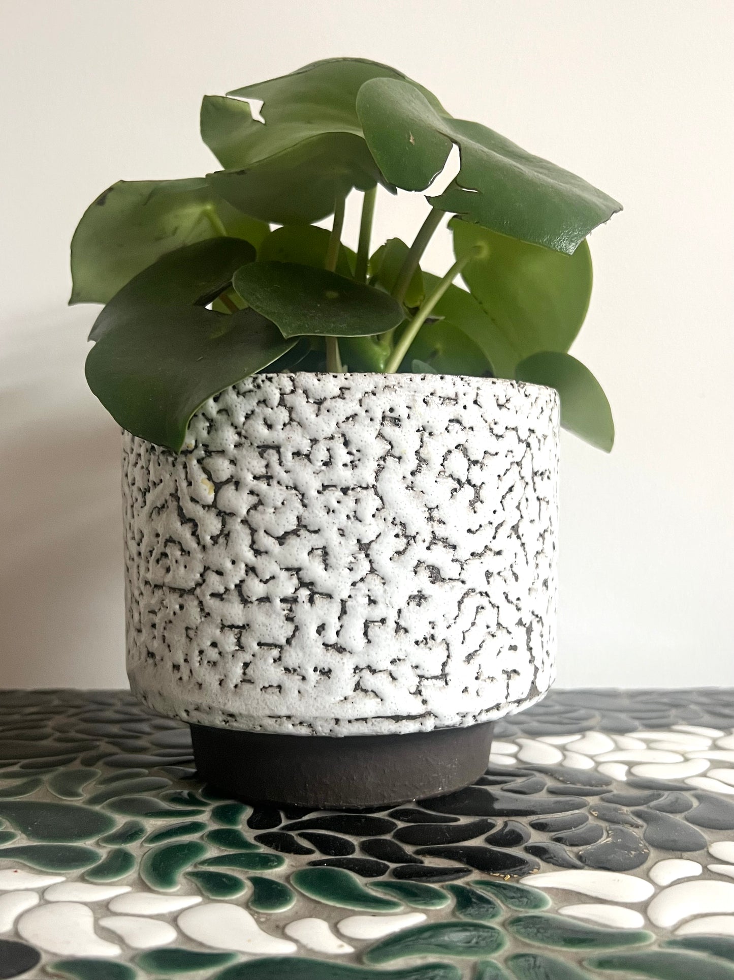 Vintage Mid Century West German Plant Pot