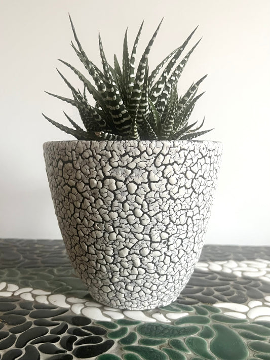 Vintage Mid Century West German Plant Pot