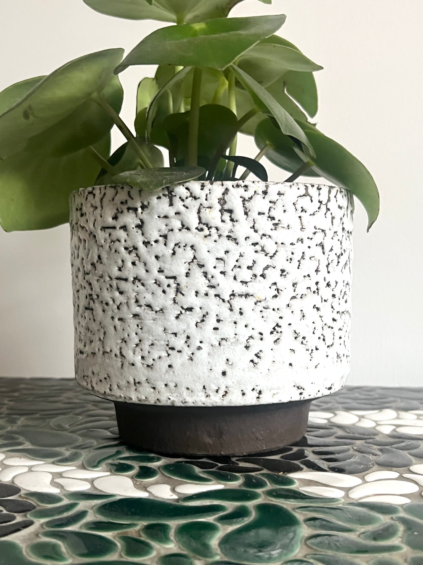 Vintage Mid Century West German Plant Pot