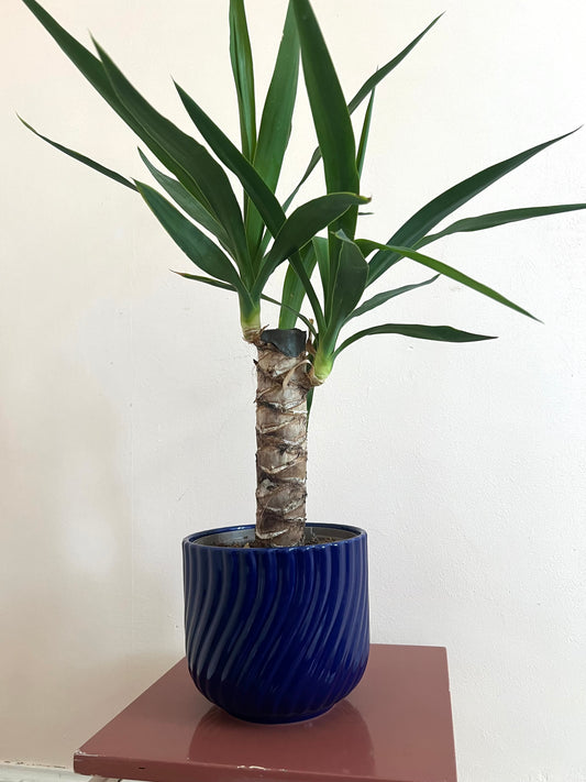 Mid Century Blue West German Style Plant Pot
