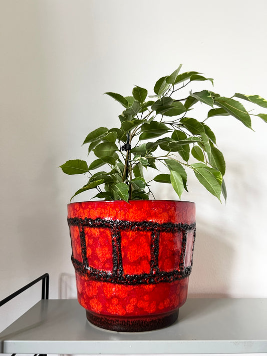 Big Angry Red & Black West German Planter