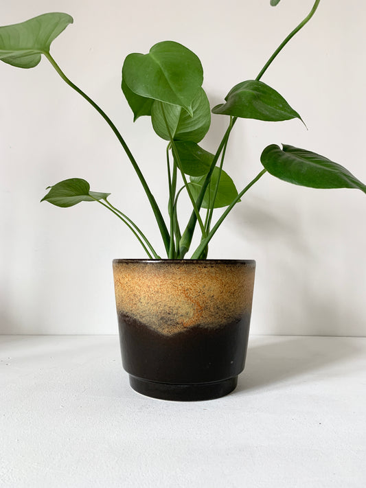 XL Plant Pot by Scheurich Keramik