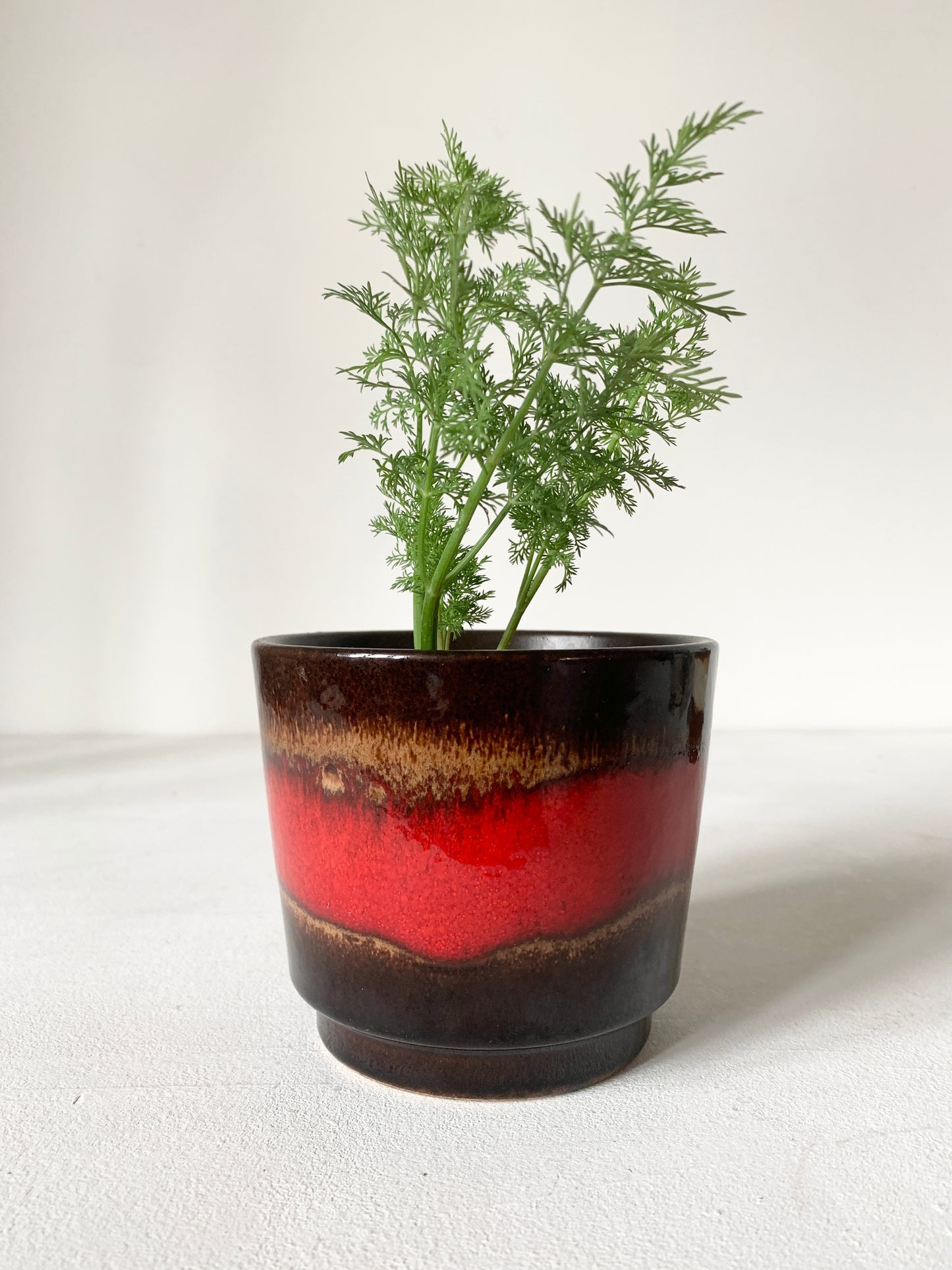 Mid Century Plant Pot By Scheurich