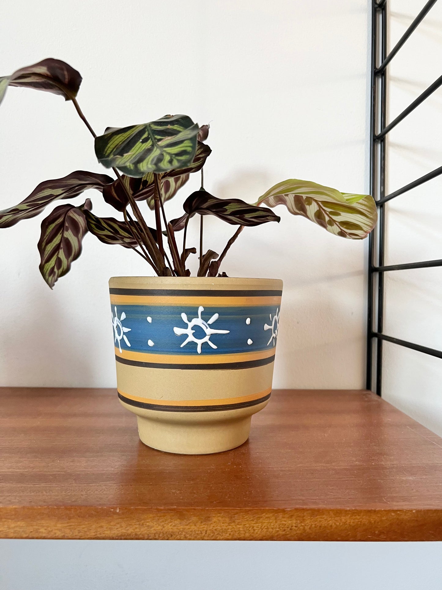 Mid Century Patterned plant pot