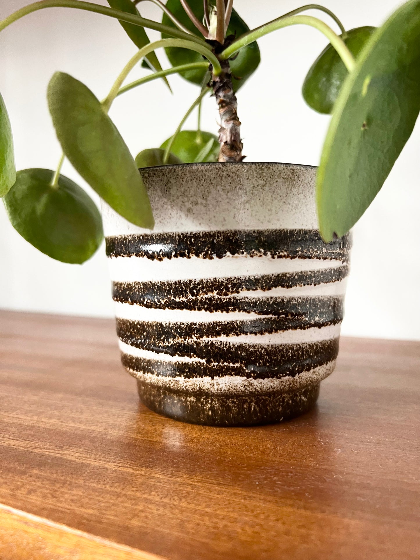 Brown & White Patterned Fat Lava Plant Pot