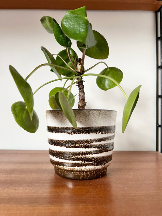 Brown & White Patterned Fat Lava Plant Pot