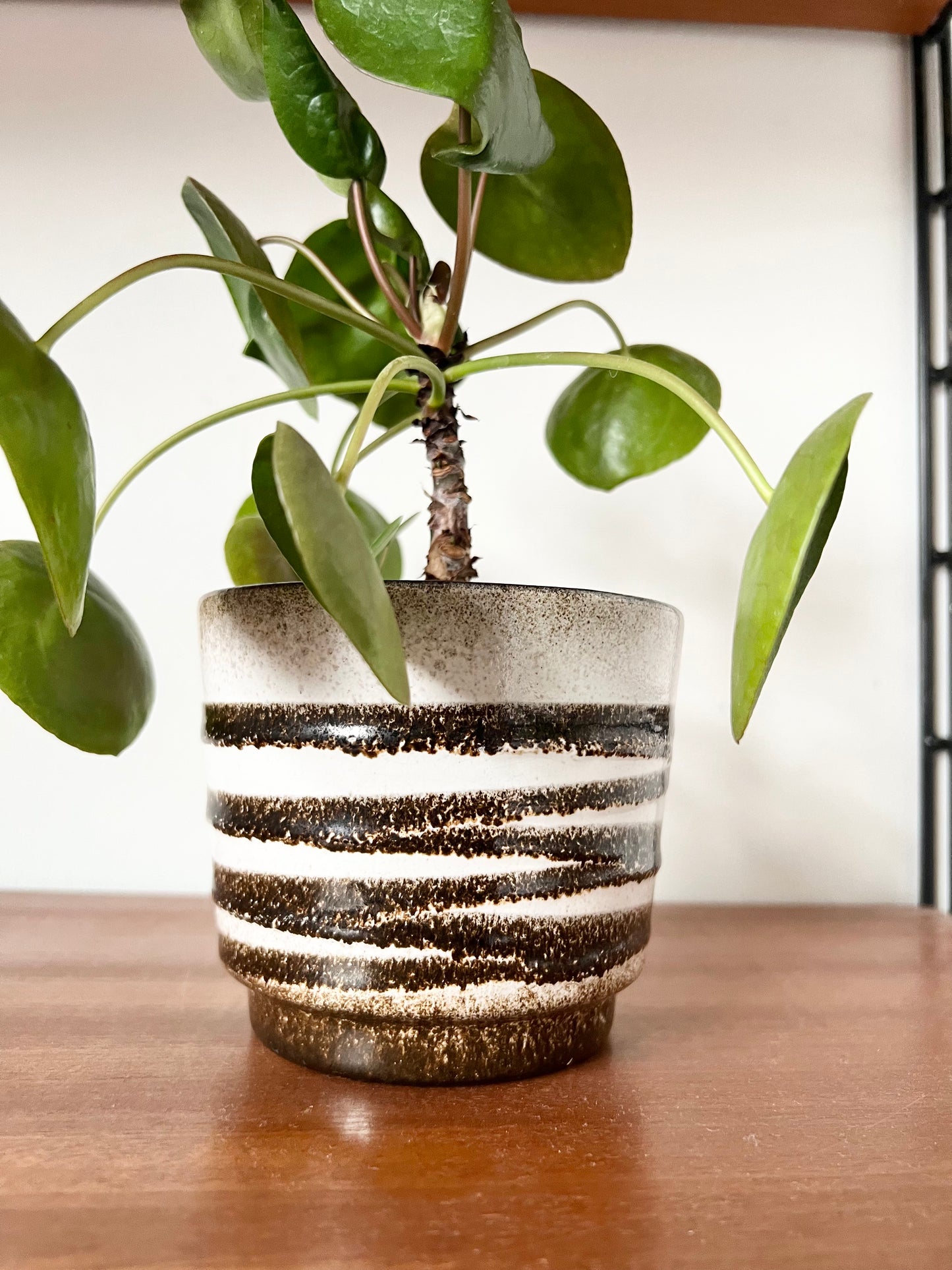 Brown & White Patterned Fat Lava Plant Pot