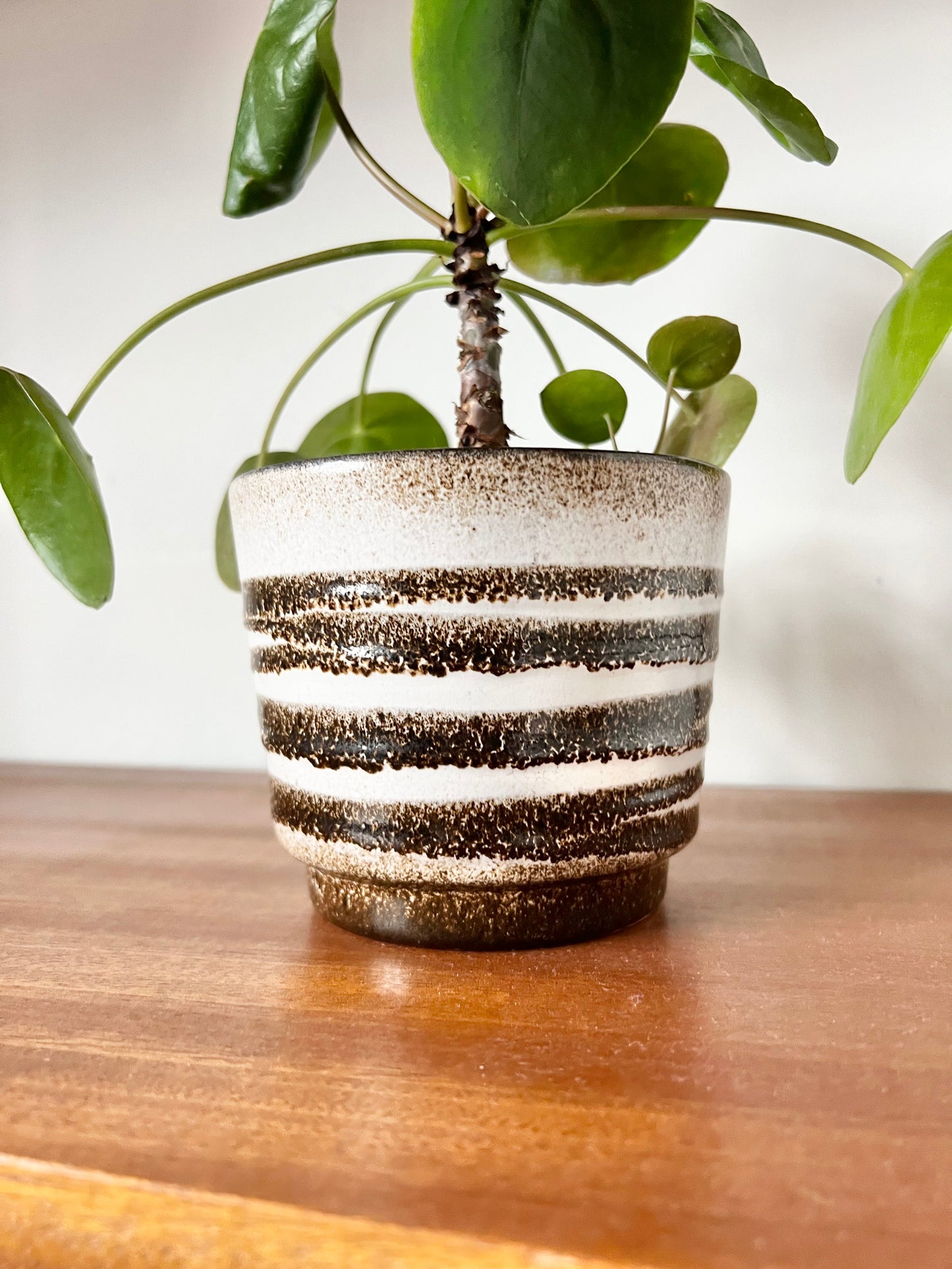 Brown & White Patterned Fat Lava Plant Pot