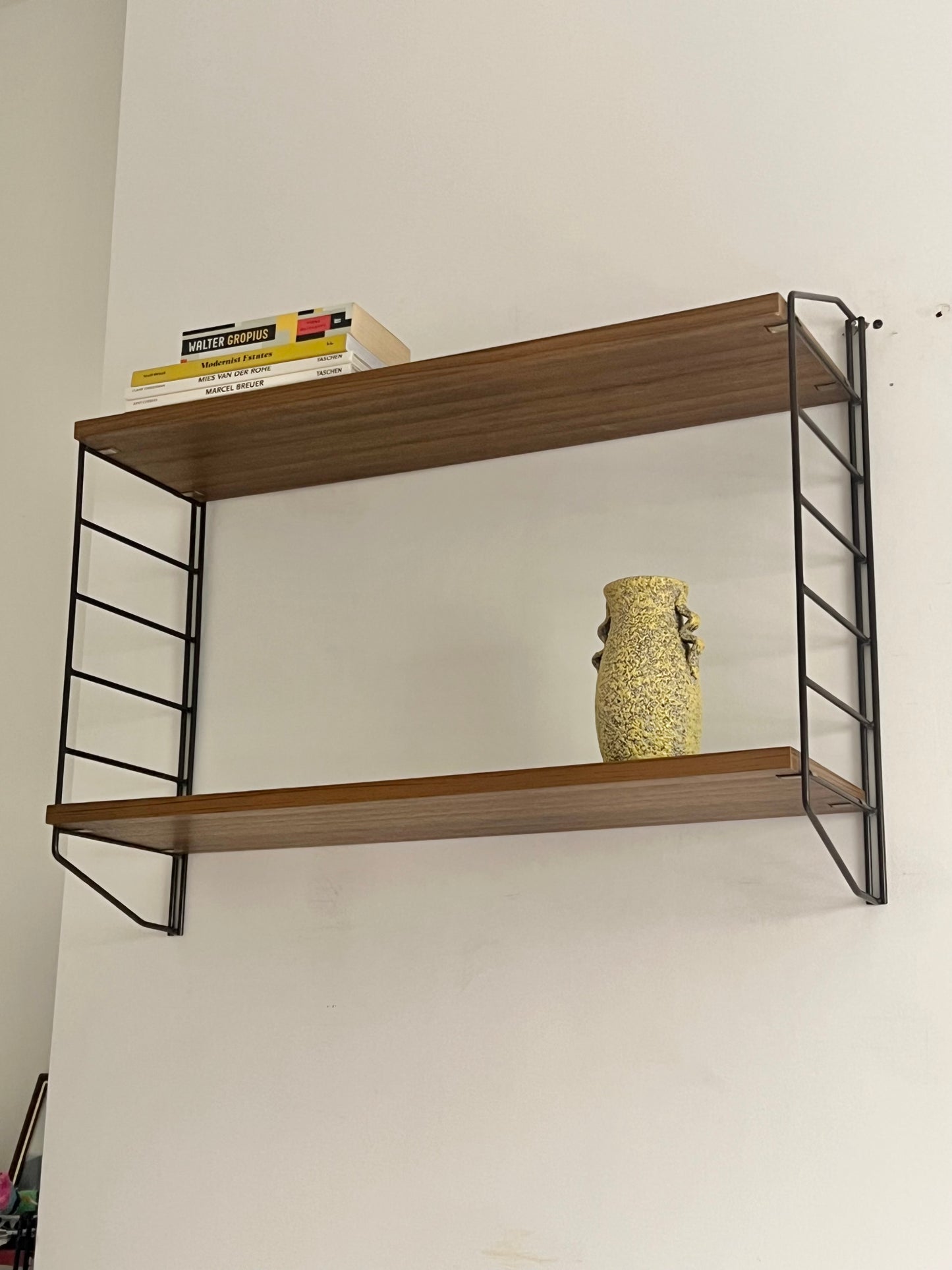 Mid Century String Modular Shelving unit by Brianco